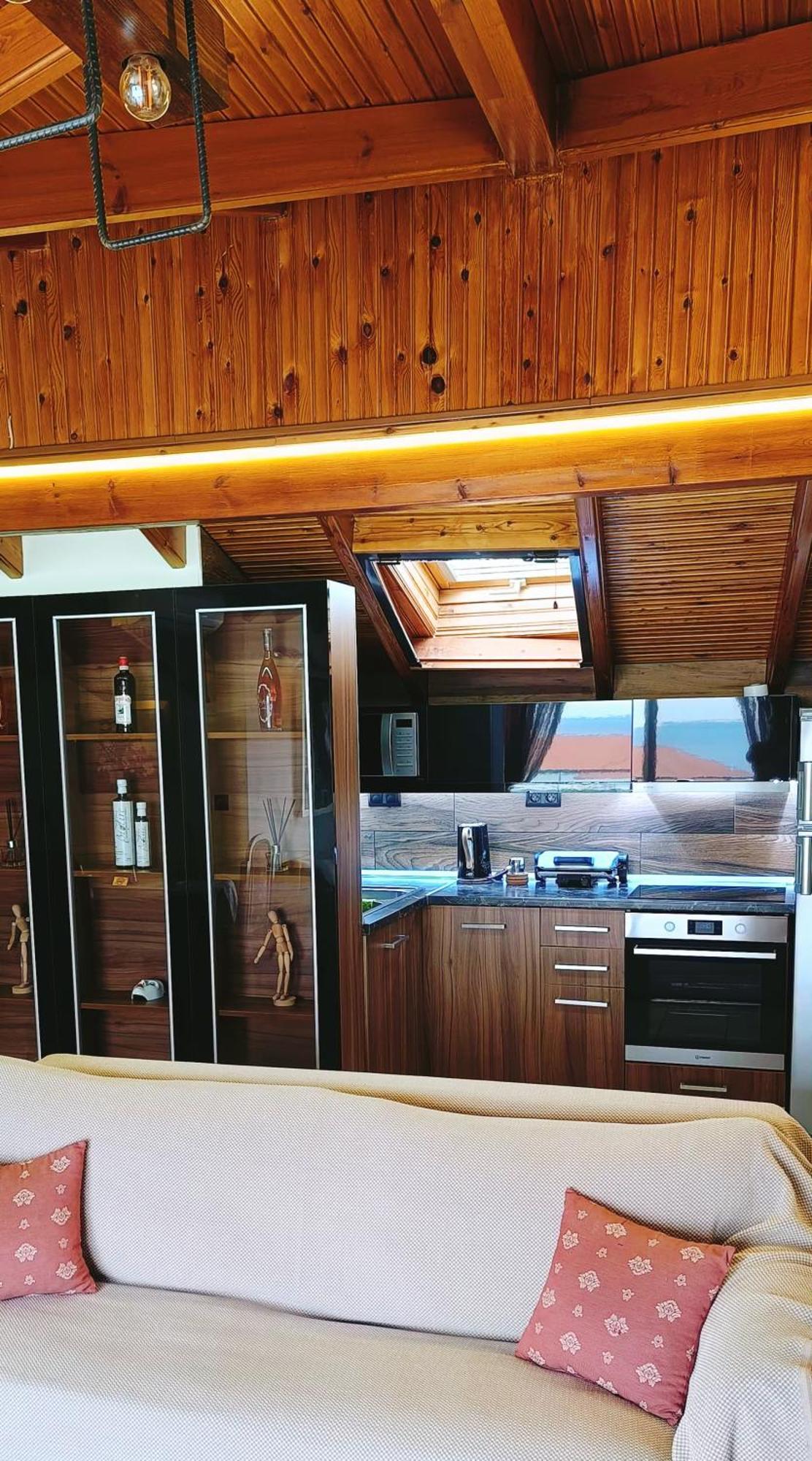 Apartment Attic *